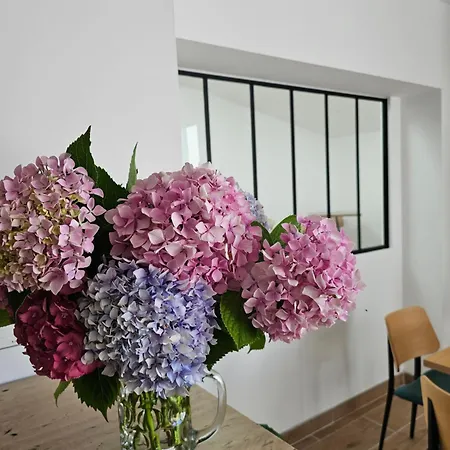 Aparthotel La Milady